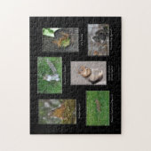 Eichhörnchen! Puzzle (Vertikal)
