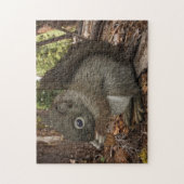 Eichhörnchen Puzzle (Vertikal)