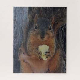 Eichhörnchen Puzzle