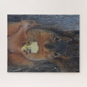 Eichhörnchen Puzzle (Horizontal)