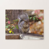 Eichhörnchen Puzzle (Horizontal)