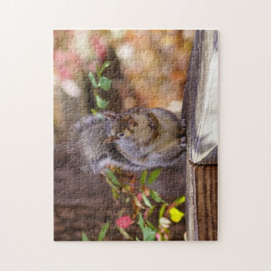 Eichhörnchen Puzzle (Vertikal)