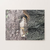 Eichhörnchen Puzzle (Horizontal)