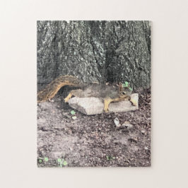 Eichhörnchen Puzzle