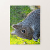 Eichhörnchen Puzzle (Vertikal)