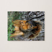 Eichhörnchen Puzzle (Horizontal)