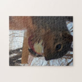 Eichhörnchen Puzzle (Horizontal)