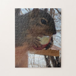 Eichhörnchen Puzzle