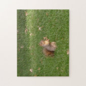 Eichhörnchen Puzzle (Vertikal)