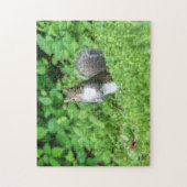 Eichhörnchen Puzzle (Vertikal)