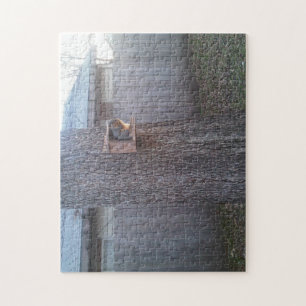 Eichhörnchen-Puzzle: Eichhörnchen Puzzle