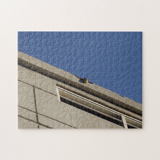 Eichhörnchen-Puzzle Puzzle (Horizontal)