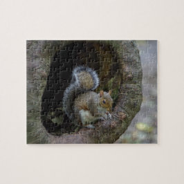 Eichhörnchen-Puzzle Puzzle