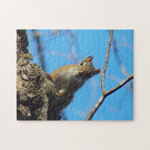 Eichhörnchen-Puzzle Puzzle