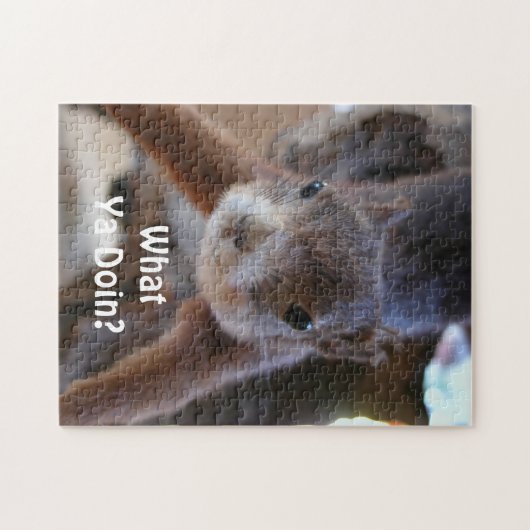 Eichhörnchen-Puzzle Puzzle (Horizontal)