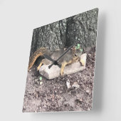 Eichhörnchen Quadratische Wanduhr (Winkel)