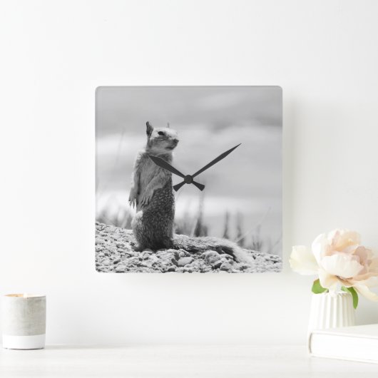 Eichhörnchen Quadratische Wanduhr (Zuhause)