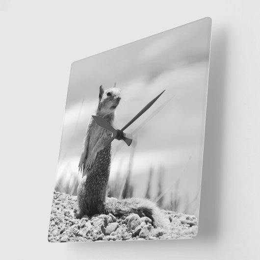 Eichhörnchen Quadratische Wanduhr (Winkel)