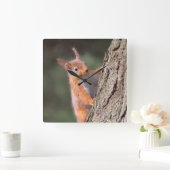 Eichhörnchen Quadratische Wanduhr (Zuhause)