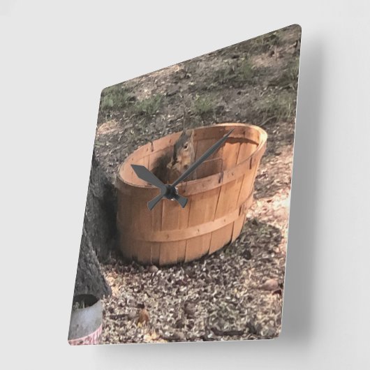 Eichhörnchen Quadratische Wanduhr (Winkel)