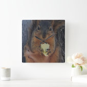 Eichhörnchen Quadratische Wanduhr (Zuhause)