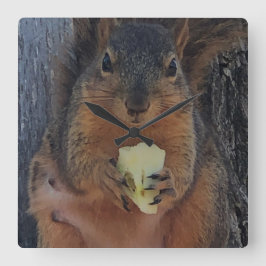 Eichhörnchen Quadratische Wanduhr