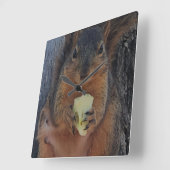 Eichhörnchen Quadratische Wanduhr (Winkel)