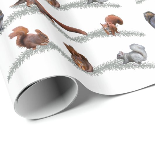 Eichhörnchen-Raserei-Packpapier (wählen Sie Farbe) Geschenkpapier (Rolleneckpunkt)