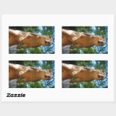 Eichhörnchen Rechteckiger Aufkleber (Blatt)