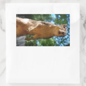 Eichhörnchen Rechteckiger Aufkleber (Tasche)