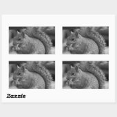 Eichhörnchen Rechteckiger Aufkleber (Blatt)