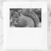 Eichhörnchen Rechteckiger Aufkleber (Tasche)