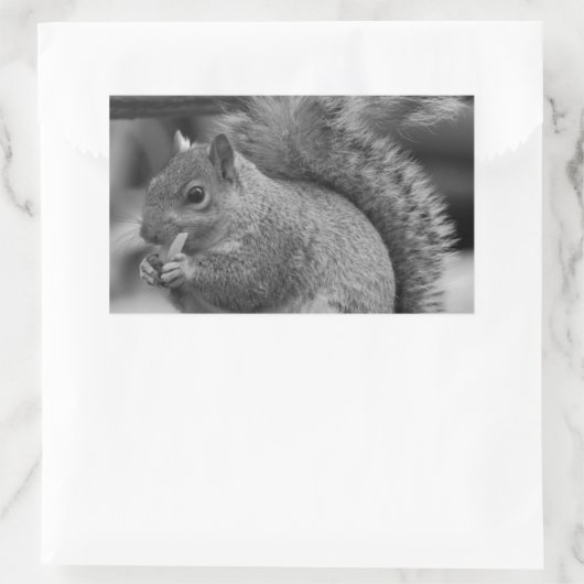 Eichhörnchen Rechteckiger Aufkleber (Tasche)