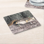 Eichhörnchen Rechteckiger Pappuntersetzer (angewinkelt)
