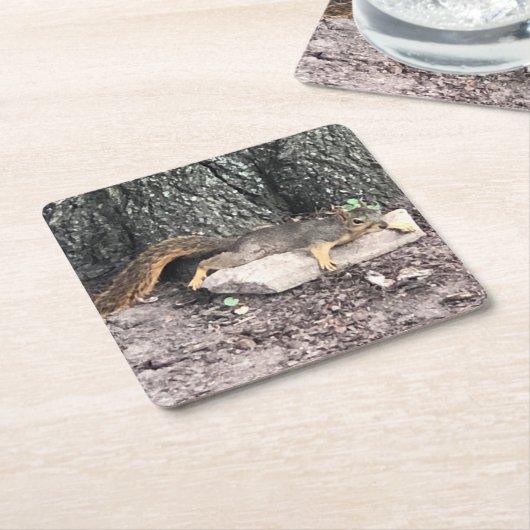 Eichhörnchen Rechteckiger Pappuntersetzer (angewinkelt)