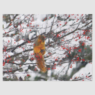 Eichhörnchen Red Berries Snow Tree Foto Seidenpapier