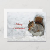Eichhörnchen Red Berry Snow Foto Weihnachten Postkarte (Vorne/Hinten)