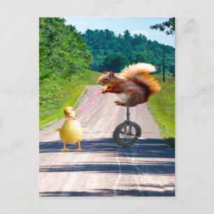 Eichhörnchen Reiten Einrad Walking Duck Postkarte