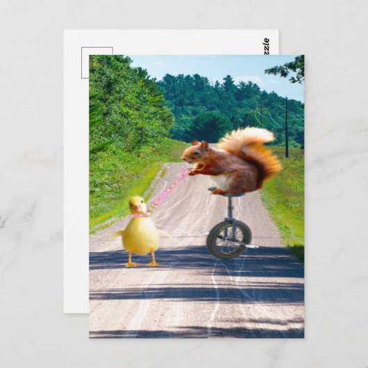 Eichhörnchen Reiten Einrad Walking Duck Postkarte (Vorne/Hinten)