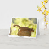 Eichhörnchen Relaxen Karte (Gelbe Blume)