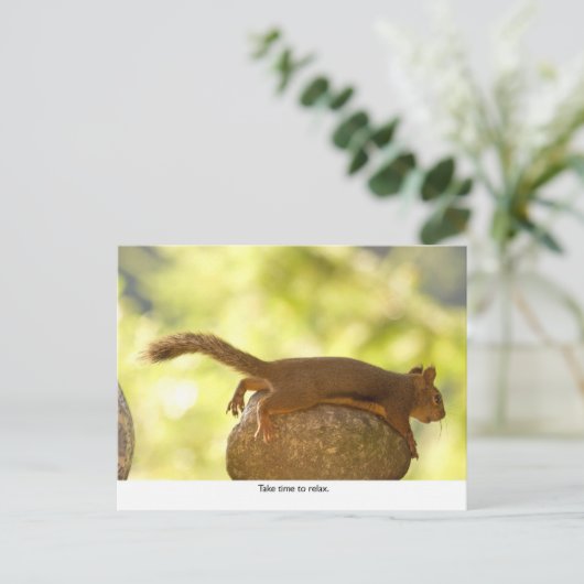 Eichhörnchen Relaxen Postkarte (Stehend Vorderseite)