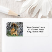 Eichhörnchen-Rücksendeadressen-Aufkleber (Insitu)