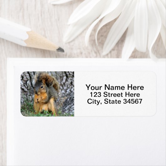 Eichhörnchen-Rücksendeadressen-Aufkleber (Insitu)