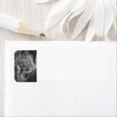 Eichhörnchen-Rücksendeadressen-Aufkleber (Insitu)