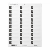 Eichhörnchen-Rücksendeadressen-Aufkleber (Vorne)