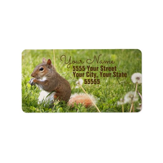 Eichhörnchen-Rücksendeadressen-Aufkleber Adressaufkleber (Vorne)