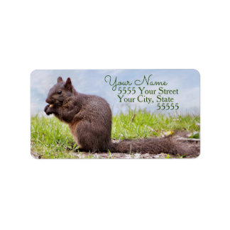 Eichhörnchen-Rücksendeadressen-Aufkleber Adressaufkleber