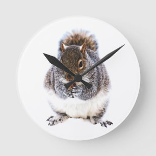 Eichhörnchen Runde Wanduhr