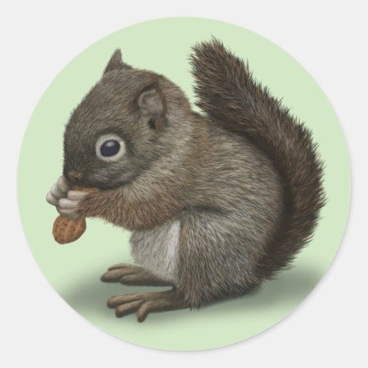 Eichhörnchen Runder Aufkleber (Vorderseite)