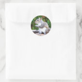 Eichhörnchen Runder Aufkleber (Tasche)